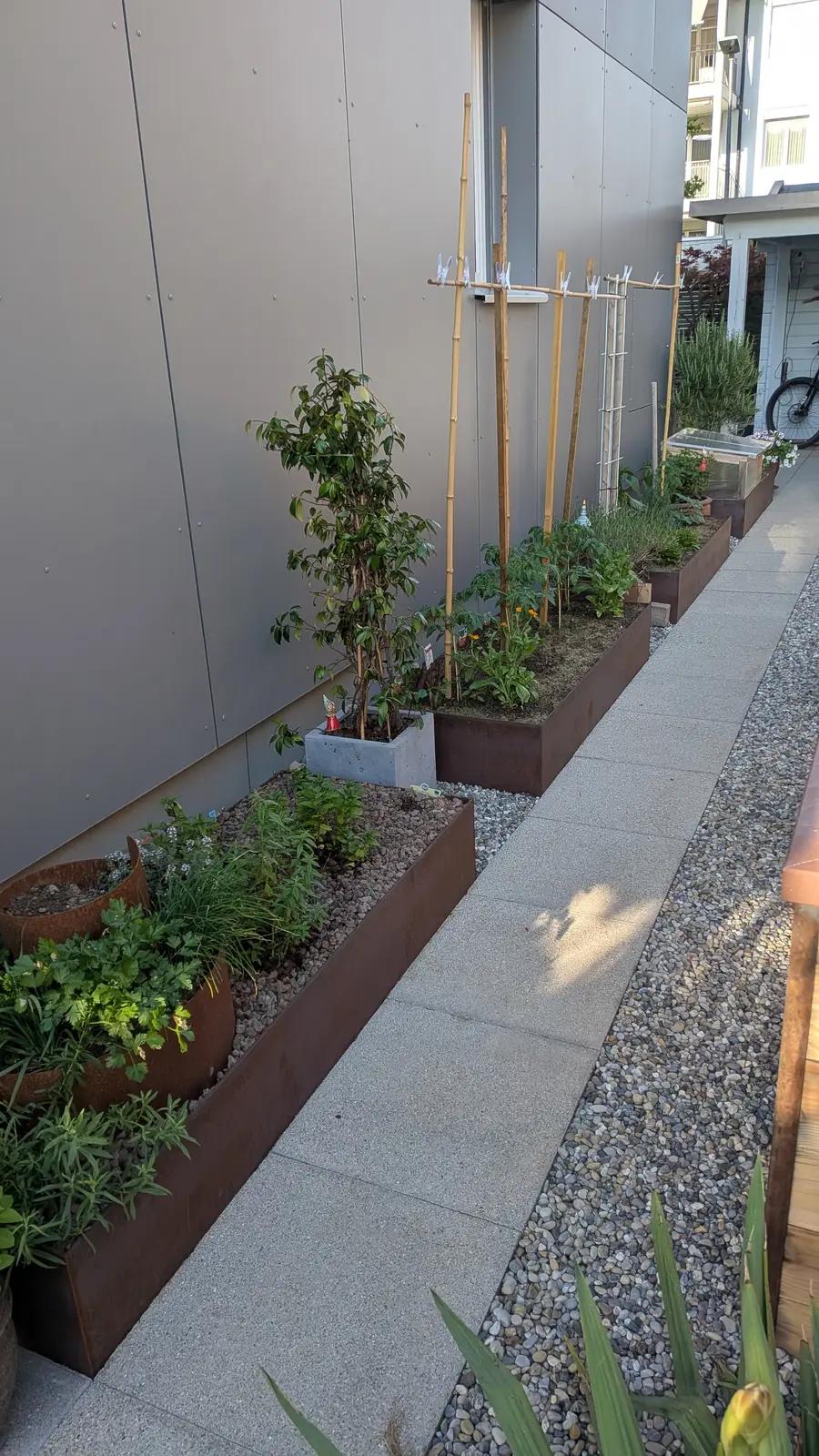 Gartenweg mit mehreren Hochbeeten aus Flachstahl entlang der Hauswand